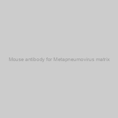 Image of Mouse antibody for Metapneumovirus matrix